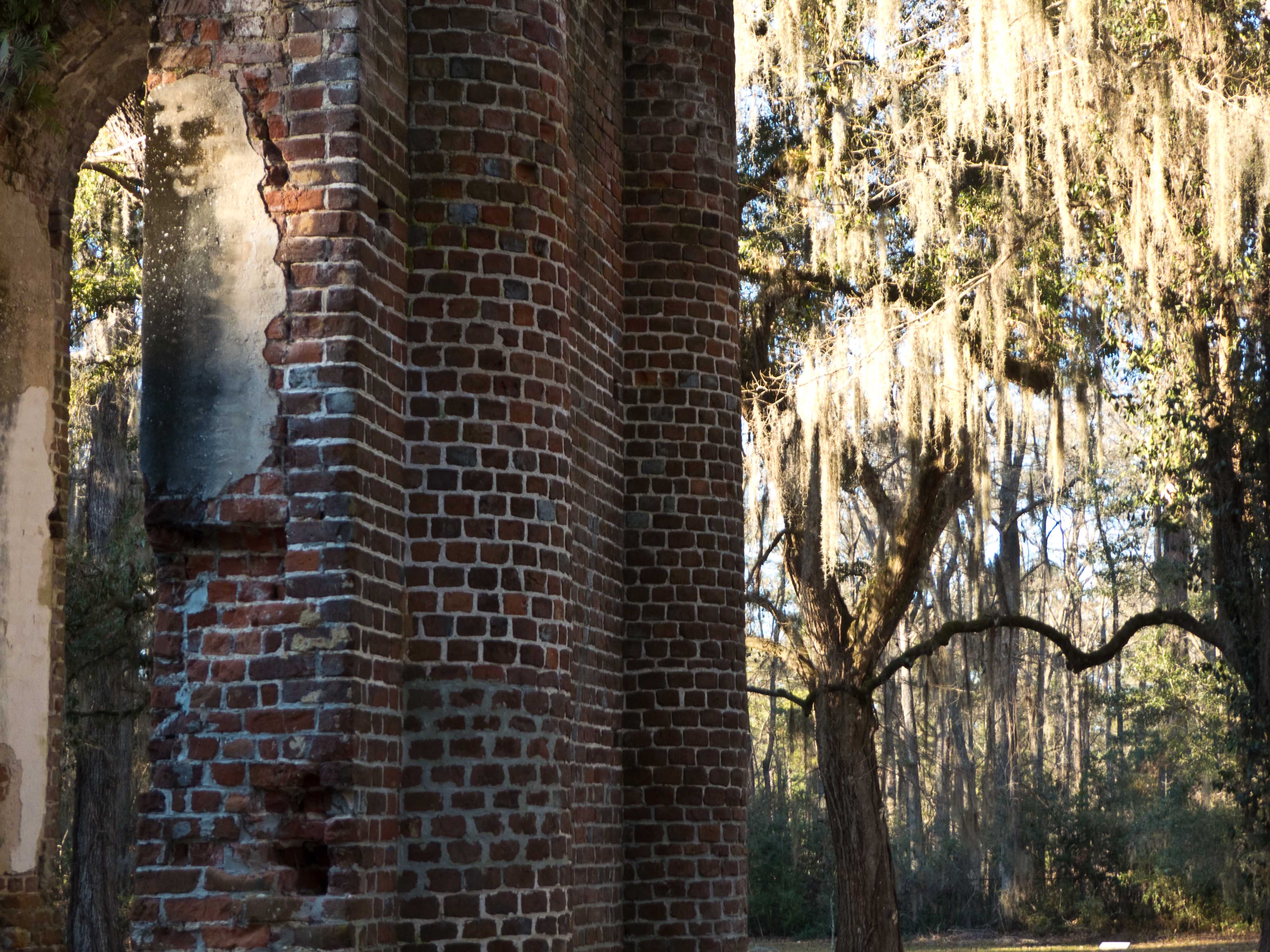 Copyright © 2016Michael R. EddyAll rights reserved